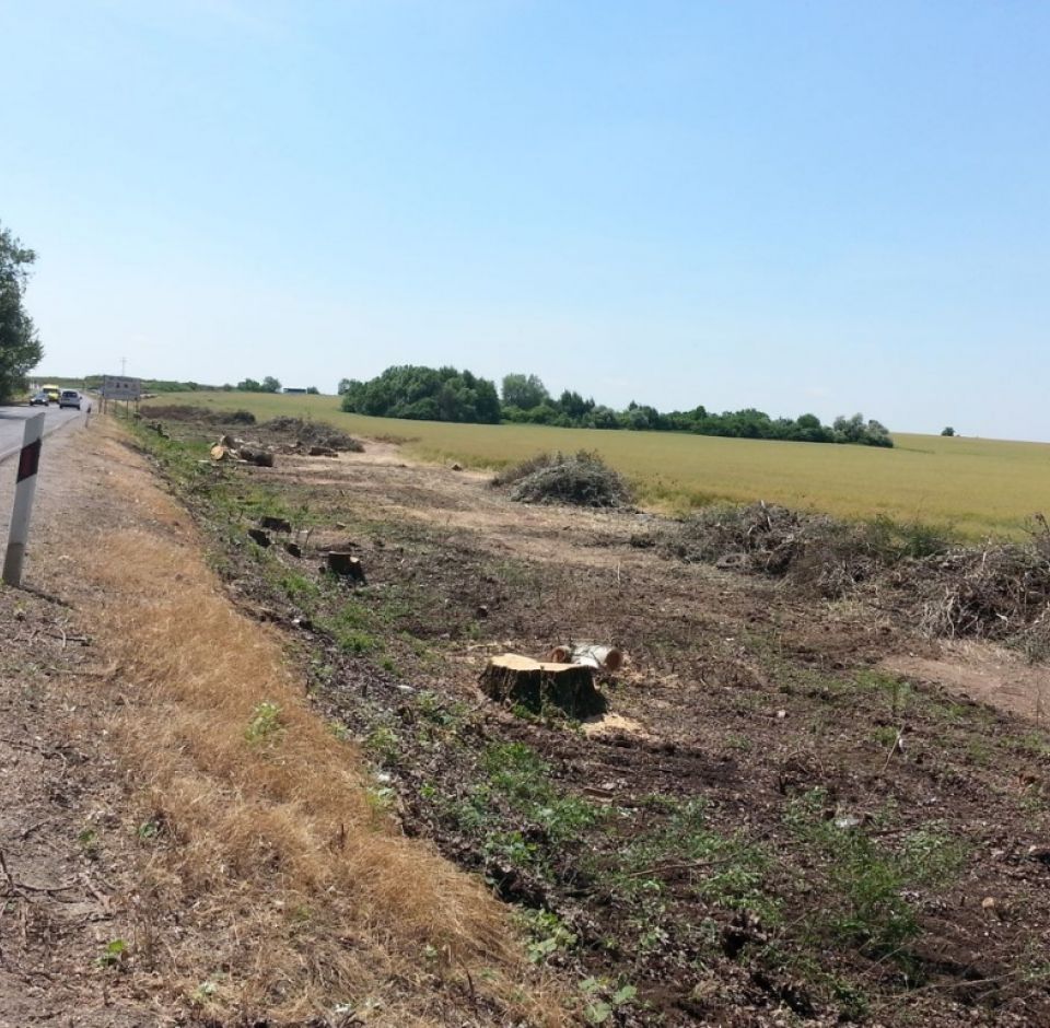 Régészeti gépi és kézi földmunka az M4 autópálya Abony-Fegyvernek szakaszon 2014-
